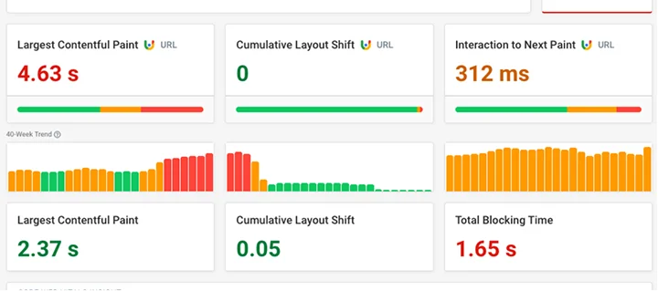 Web Vitals Checker Different